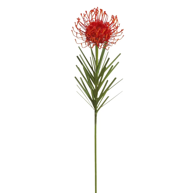 Tropical Needle Protea Spray by Ashland®
