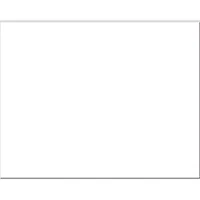 Pacon® White Railroad Poster Board, 22" x 28