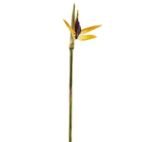 Tropical Bird of Paradise Stem by Ashland® 