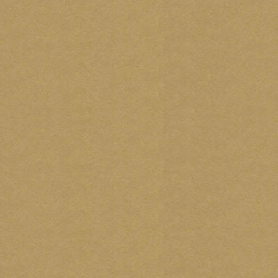 Solid Metallic Paper by Recollections