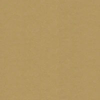 Solid Metallic Paper by Recollections