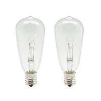 Creative Collection™ ST12 Shimmer Lights Edison Replacement Bulb Pack by Ashland™