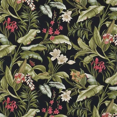 Wailea Coast Sun N Shade Ebony