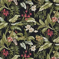 Wailea Coast Sun N Shade Ebony