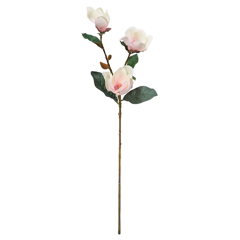 Coral Magnolia Stem by Ashland®