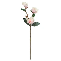 Coral Magnolia Stem by Ashland®