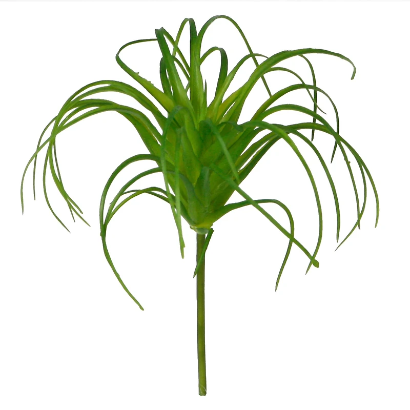 24 Pack: Assorted Tillandsia Pick by Ashland®