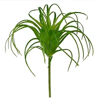 24 Pack: Assorted Tillandsia Pick by Ashland®