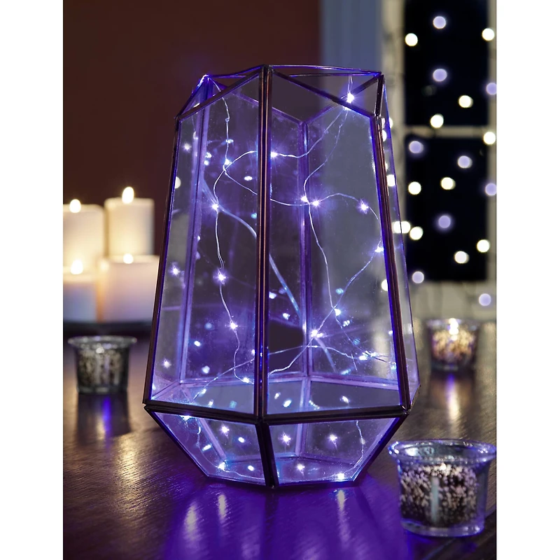 12 Pack: Apothecary & Company™ 10ft. Purple LED Decorative String Lights