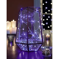12 Pack: Apothecary & Company™ 10ft. Purple LED Decorative String Lights