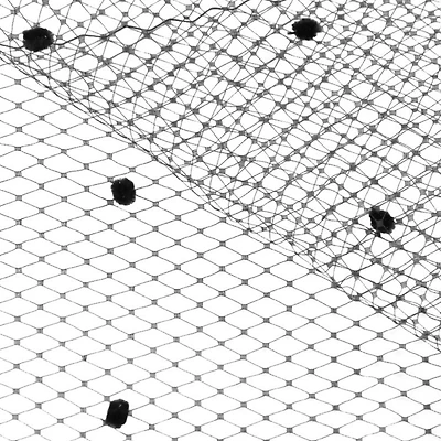 Black Dotted Russian Netting