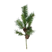 Dakota Red Pine Stem with Pine Cones