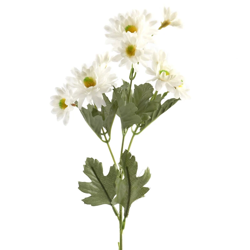 24 Pack: White Aster Daisy Spray by Ashland®