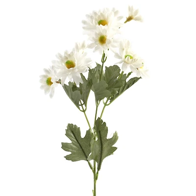 24 Pack: White Aster Daisy Spray by Ashland®