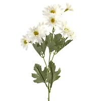 24 Pack: White Aster Daisy Spray by Ashland®