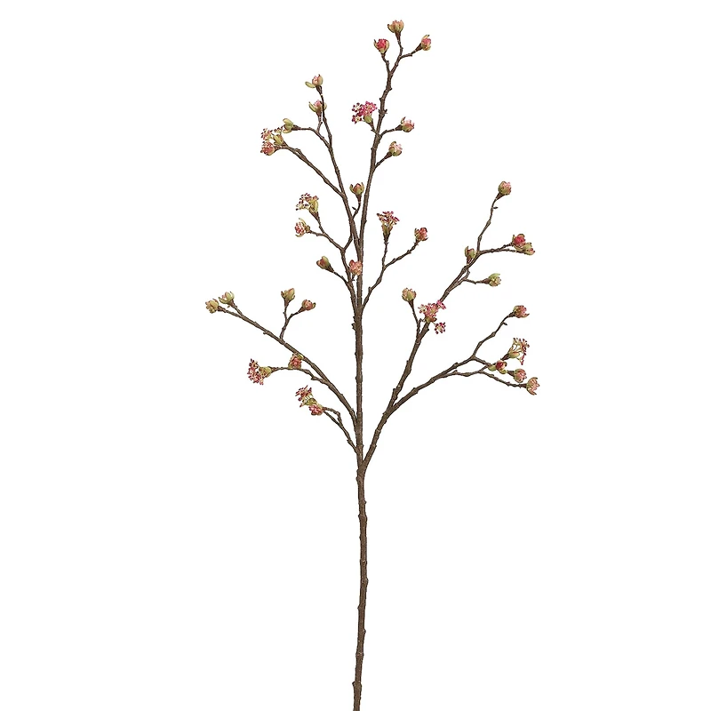 Fuchsia Budding Blossom Stem