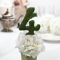 Lillian Rose Moss Wedding Decor Table Number