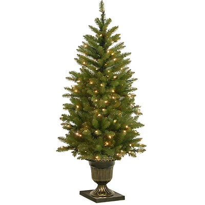 4 ft. Pre-Lit Potted Dunhill® Fir Artificial Entrance Christmas Tree, Clear Lights
