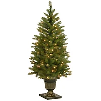 4 ft. Pre-Lit Potted Dunhill® Fir Artificial Entrance Christmas Tree, Clear Lights