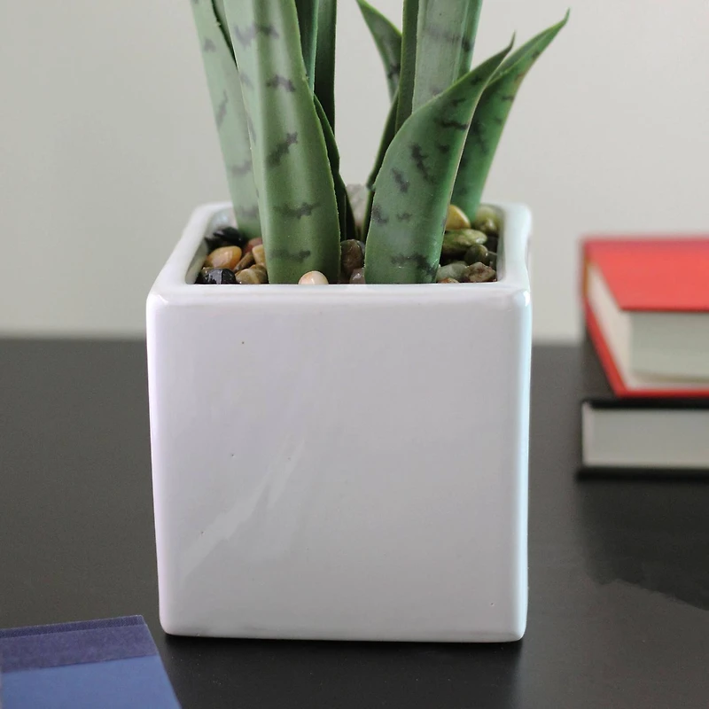 21" Green Artificial Succulent in White Square Pot