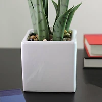 21" Green Artificial Succulent in White Square Pot
