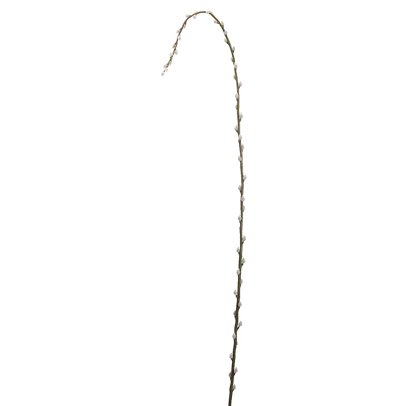 Pussy Willow Stem