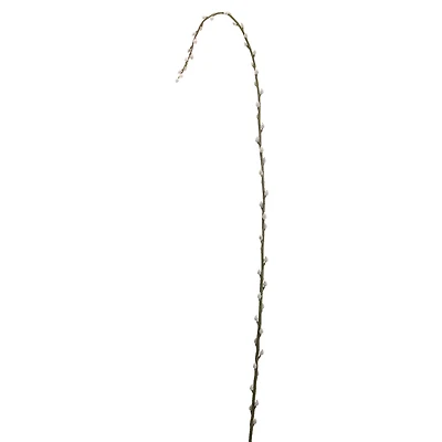 Pussy Willow Stem