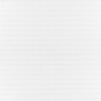 White 70 Denier FR/UV Nylon Ripstop