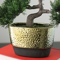 10" Green Artificial Bonsai Tree in Gold Plated Ceramic Pot