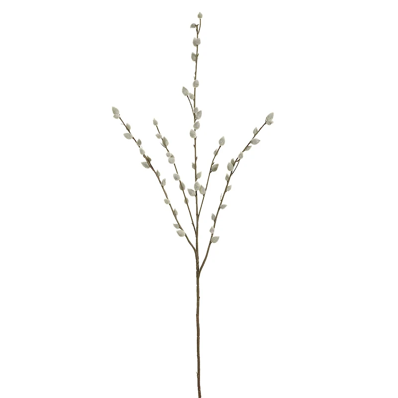 Pussy Willow Stem