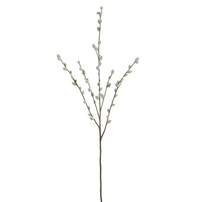 Pussy Willow Stem