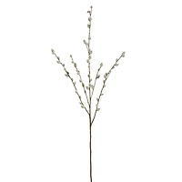 Pussy Willow Stem