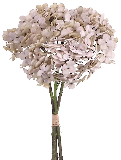 24 Pack: Taupe Hydrangea Bundle