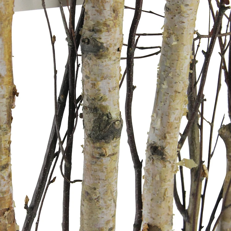 17.75" Mixed Branches in Rustic Wood Frame