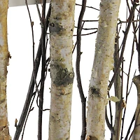 17.75" Mixed Branches in Rustic Wood Frame