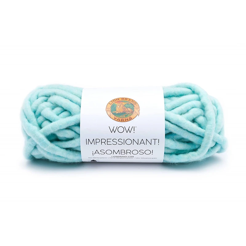 Lion Brand® Wow!® Yarn