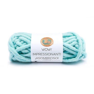 Lion Brand® Wow!® Yarn