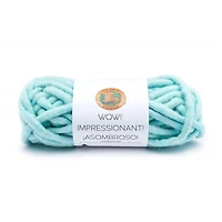 Lion Brand® Wow!® Yarn