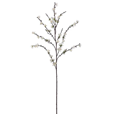 White Plum Blossom Stem