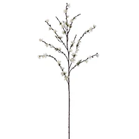 White Plum Blossom Stem