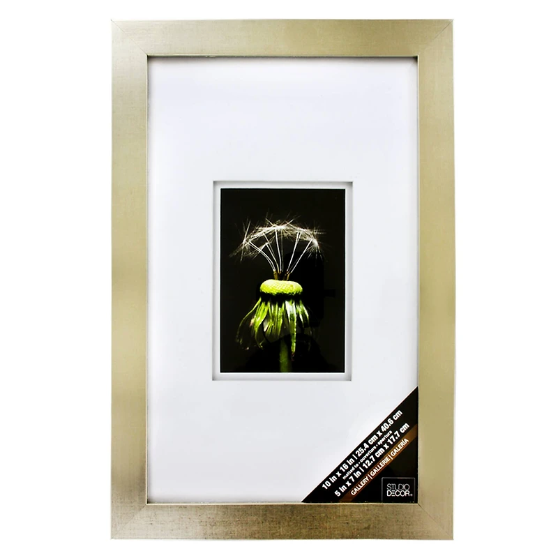 Gallery Champagne Wall Frame with Double Mat by Studio Décor