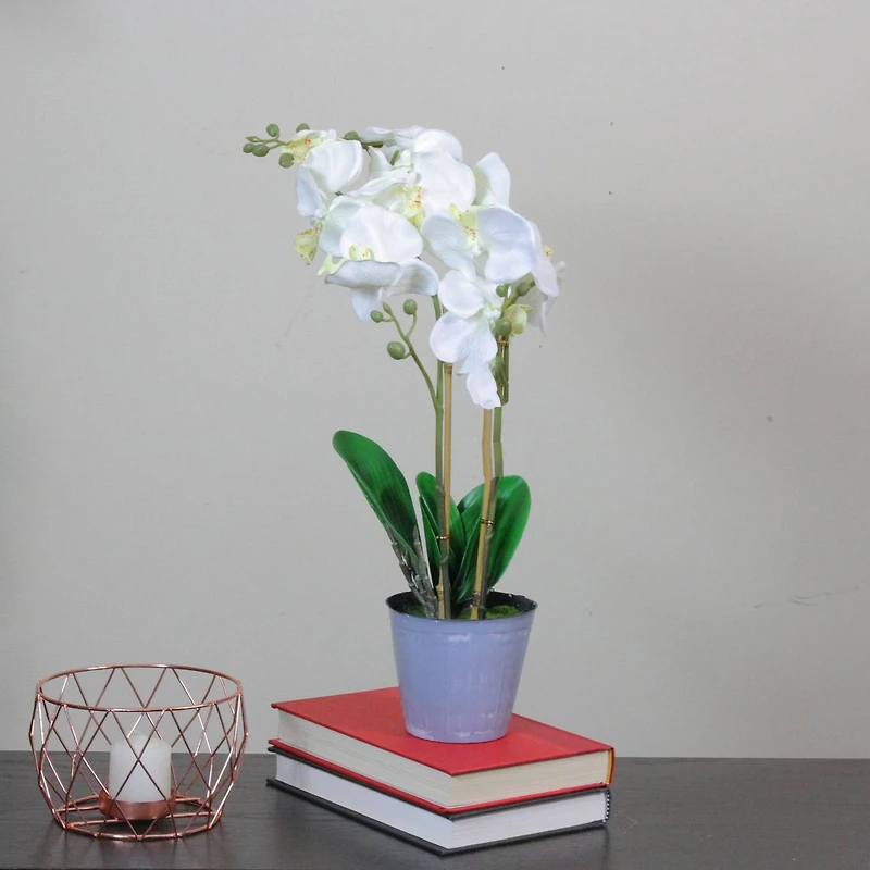 White & Sunny Yellow Artificial Blooming Orchid in Pot