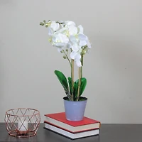 White & Sunny Yellow Artificial Blooming Orchid in Pot
