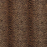 Cheetah Earth