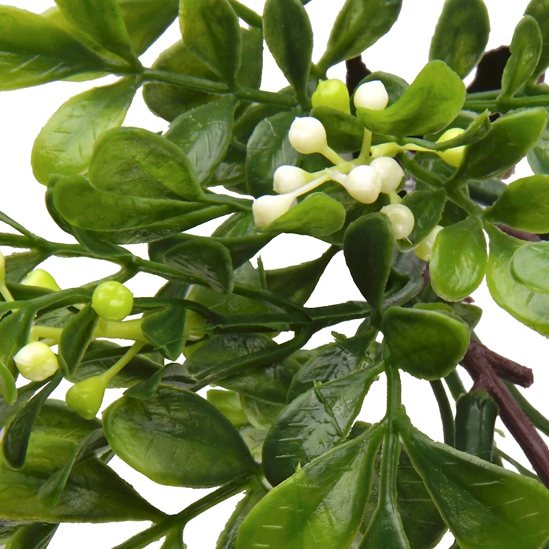 11" Boxwood Pick by Ashland®