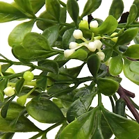 11" Boxwood Pick by Ashland®