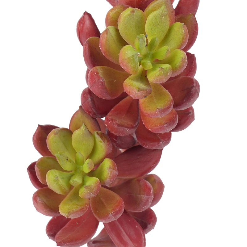 Assorted 11" 3 Head Succulent Pick by Ashland®, 1pc.