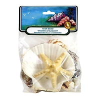 12 Pack: U.S. Shell Craft Shells