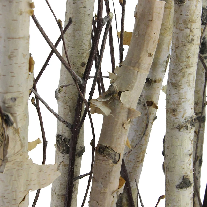 18.75" Mixed Branch Bouquet in White Wood Box