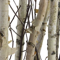 18.75" Mixed Branch Bouquet in White Wood Box
